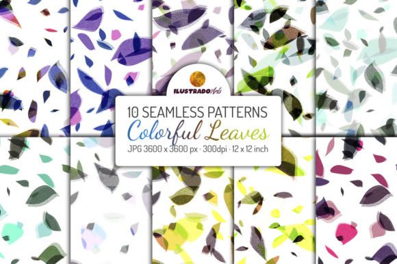 COLORFUL LEAVES